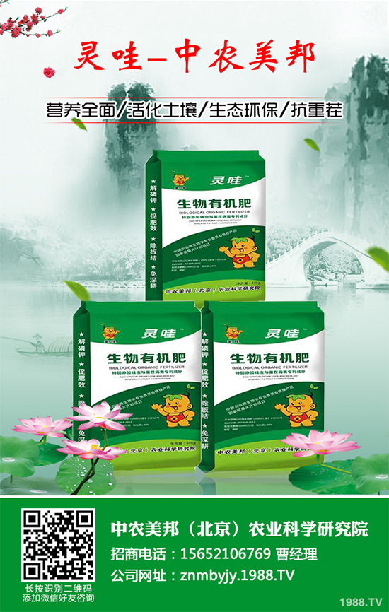 ���᳣Ҋ��������Щ��ԓ����A�������Ს���İl(f��)���c������