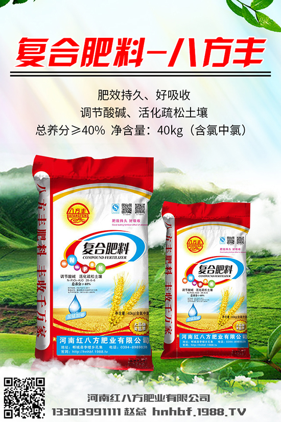  川貝母多少錢一克？川貝母的種植前景及種植技術(shù)！