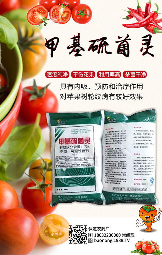 ������������أ���Ч����â���ǰ��������u���