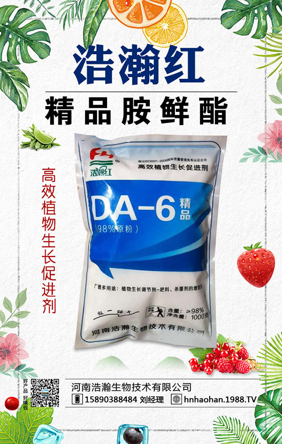 西紅柿摘葉常見(jiàn)誤區(qū)有哪些？西紅柿摘葉技巧！