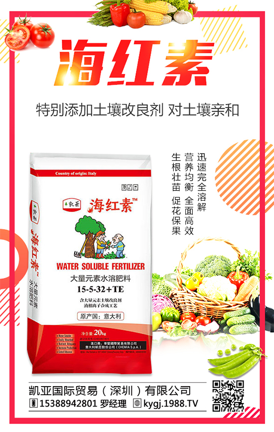 ���X�ݵĮa(ch��n)�طֲ����ģ����X�ݷNֲע�������