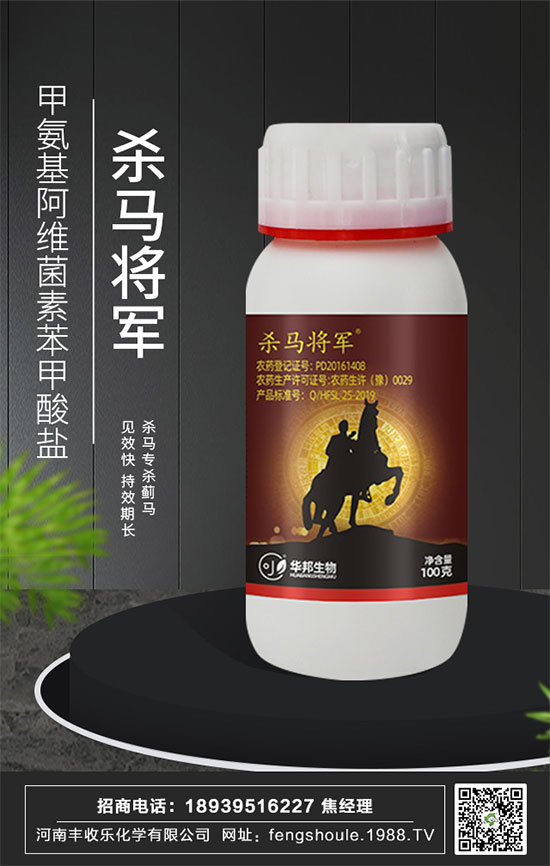 合作共謀發(fā)展,河南豐收樂再簽1988.TV開創(chuàng)新輝煌!