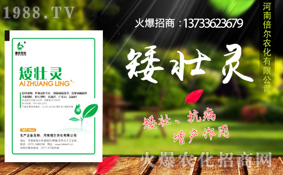 河南倍爾續(xù)約1988.TV,攜手共創(chuàng)新輝煌!