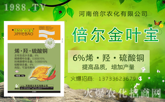 河南倍爾續(xù)約1988.TV,攜手共創(chuàng)新輝煌!