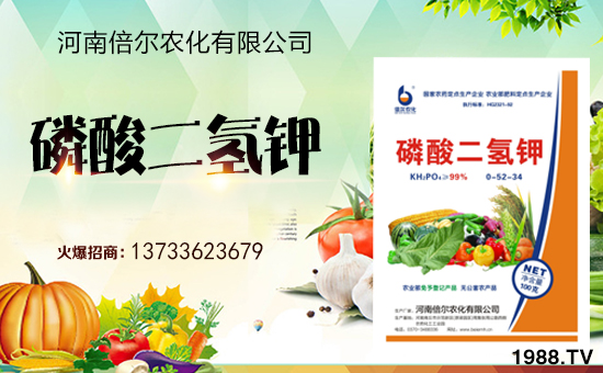 河南倍爾續(xù)約1988.TV,攜手共創(chuàng)新輝煌!