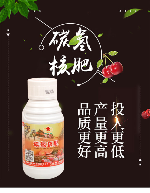 碳?xì)浜朔?紅藻門-碳?xì)鋰?guó)際_01