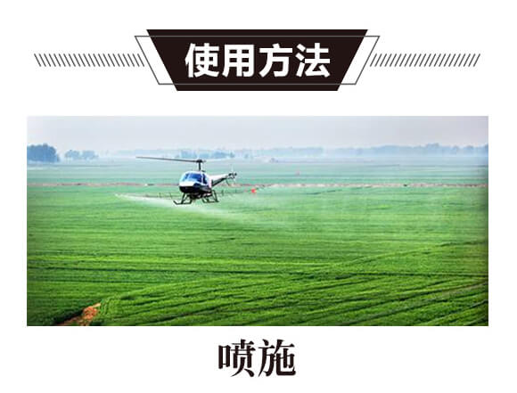 碳?xì)浜朔?紅藻門-碳?xì)鋰?guó)際_05