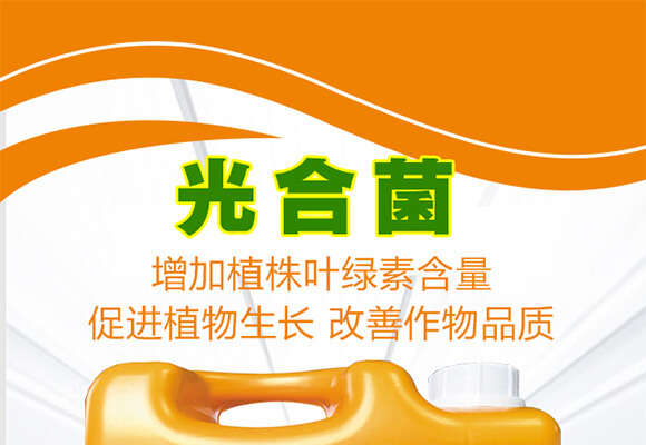 ��ϼ�������-��Ͼ�-�A̫¡-���r(n��ng)��_01