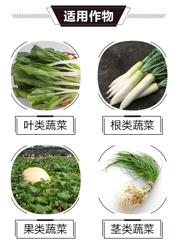 碳?xì)浜朔?綠藻門(mén)-碳?xì)鋰?guó)際_03