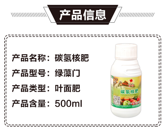 碳?xì)浜朔?綠藻門(mén)-碳?xì)鋰?guó)際_02