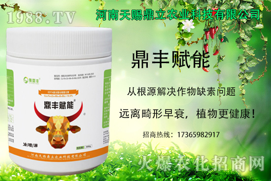 油麥菜怎么進(jìn)行追肥?油麥菜的種植注意事項(xiàng)!