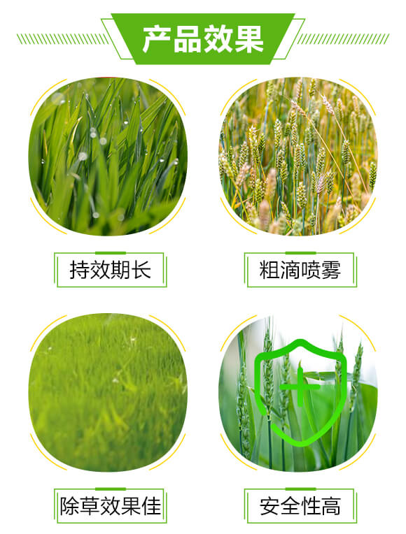 抗性稗草專用-稗丹-正本有方_03