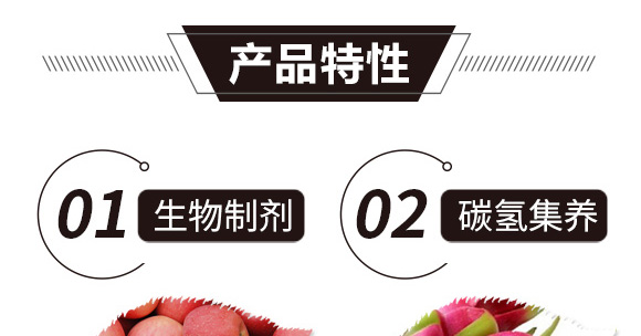 碳?xì)浜朔?紅藻門-碳?xì)鋰?guó)際_02