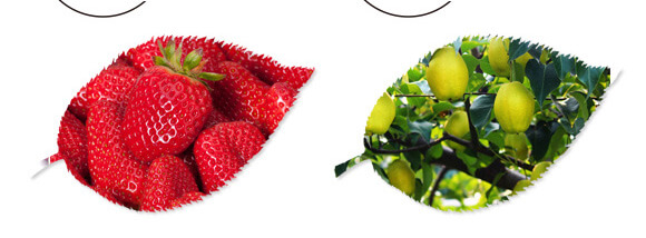 ̼?x��)�˷?�{(l��n)���T-̼?x��)���H_10