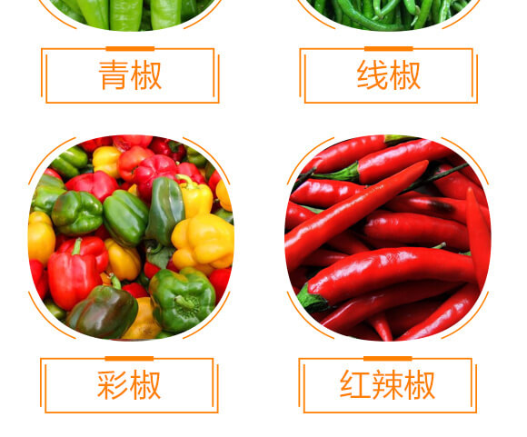 椒類專用椒豐素-麗美澤-中農恒大_09