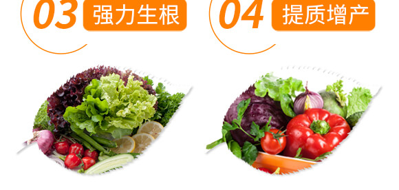 椒類專用椒豐素-麗美澤-中農恒大_07