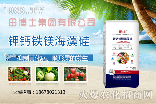 花生重茬會(huì)產(chǎn)生哪些影響?如何解決花生重茬問(wèn)題?