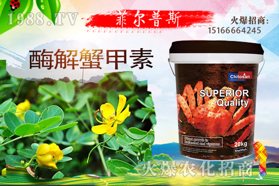 ������ô�Nֲ�������Nֲ���g(sh��)Ҫ�c��