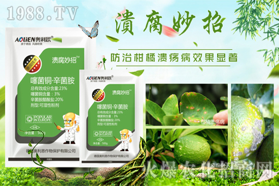 ���W�������ﱣ�o���޹�˾