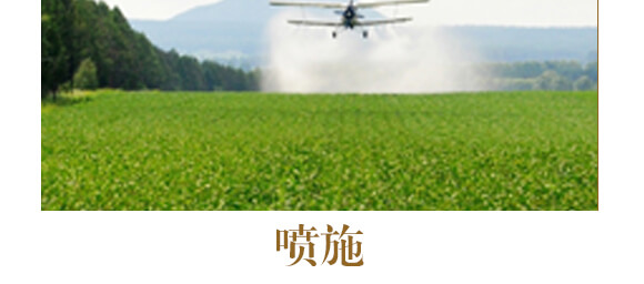 中藥材三七當歸專用-含腐植酸水溶肥-北美農大_12