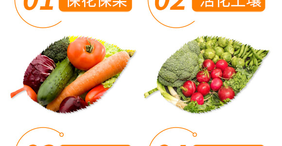 椒類專用椒豐素-麗美澤-中農恒大_06