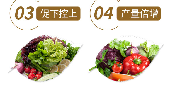 中藥材三七當歸專用-含腐植酸水溶肥-北美農大_07