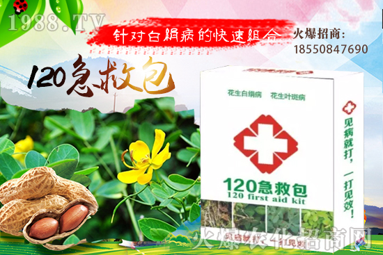 �S�ϼ޽���ʲô��̎����������S�ϼ޽�����