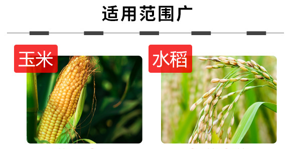 硝酸鈣鉀-大力量-奧豐肥業(yè)5