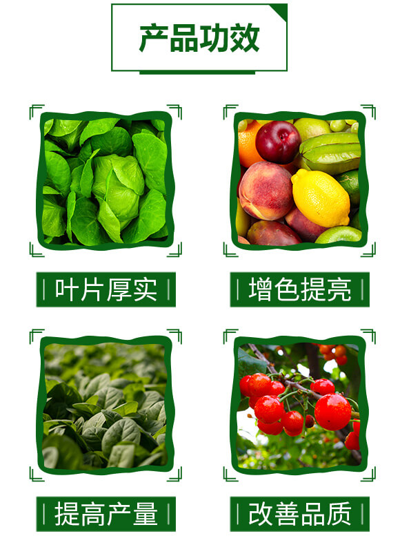 超能有機質膨果素-鋪滿天-天葉生物_04