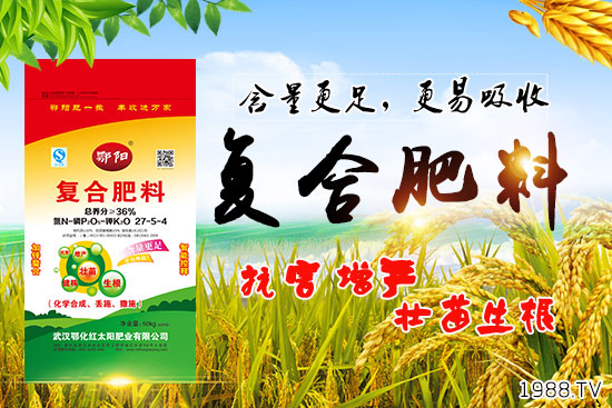 Ѫ������Щ�I(y��ng)�B(y��ng)�r(ji��)ֵ����Ѫ����ʲô��̎��