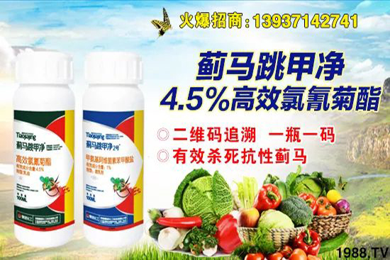 �r(n��ng)ˎ�r��