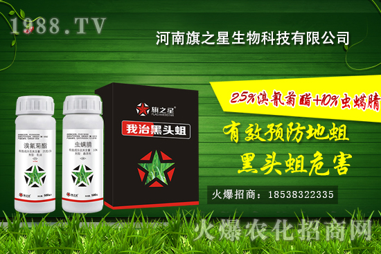 ʲô�Ǿ����������l(f��)��Ҏ(gu��)���������o�������η�����