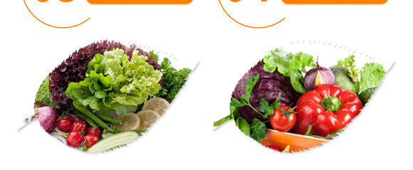 復合微生物沖施肥-納米神能鉀-金顆力-寧奧生物_08