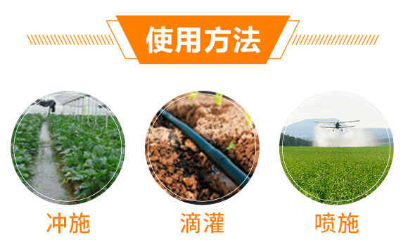 復合微生物沖施肥-納米神能鉀-金顆力-寧奧生物_09