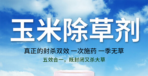 玉米除草劑封殺型—田村長(zhǎng)_01