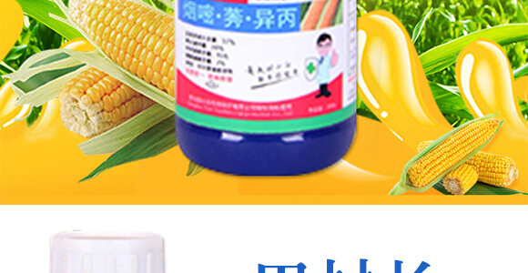 玉米除草劑封殺型—田村長(zhǎng)_03