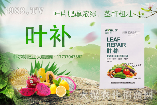 �o�����Nֲǰ����ô�����o�����Nֲ�r(sh��)�g�ͷ�����