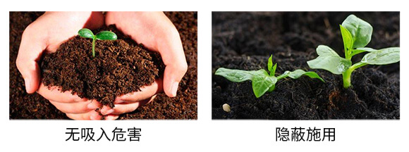 西甜瓜專(zhuān)用-一株一片_06