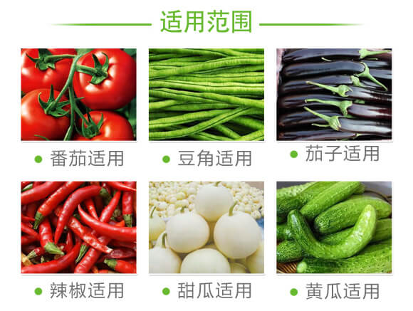蚜虱片-茄果通用(西紅柿、茄子、黃瓜、辣椒、甜西瓜等)_07