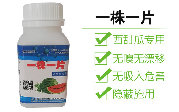 西甜瓜專(zhuān)用-一株一片_04