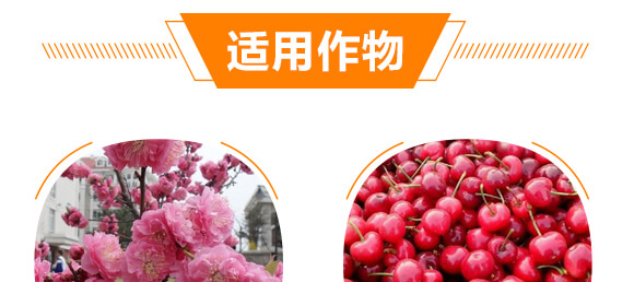 復合微生物沖施肥-納米神能鉀-金顆力-寧奧生物_10