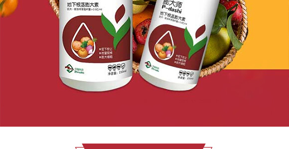 地下根莖膨大素-膨大師-中瑞歡田-中瑞利農_03