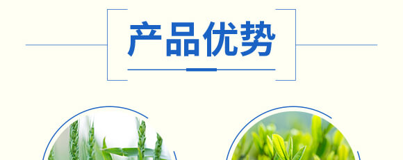 玉米除草劑封殺型—田村長(zhǎng)_05