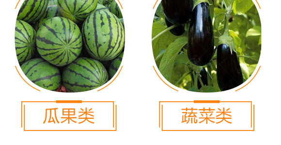 復合微生物沖施肥-納米神能鉀-金顆力-寧奧生物_12