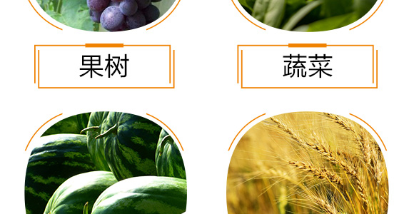 含腐植酸水溶肥料-達(dá)富達(dá)貴-中微_09