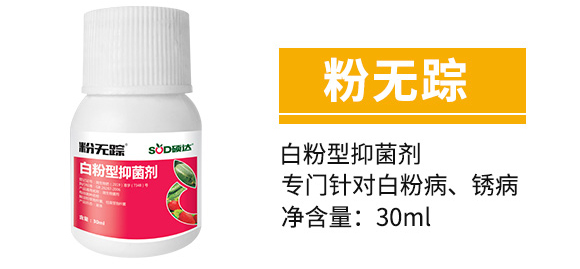 �׷����־���-�۟oۙ-�T�_(d��)_05