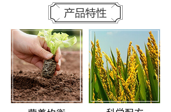 生物有機(jī)肥（紅）-豐農(nóng)_04