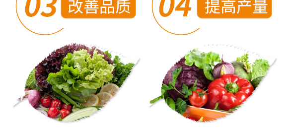 含腐植酸水溶肥料-達(dá)富達(dá)貴-中微_07