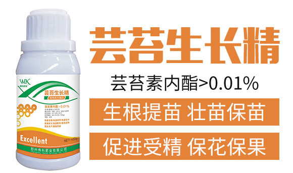 蕓苔生長(zhǎng)精-偉科肥業(yè)_02