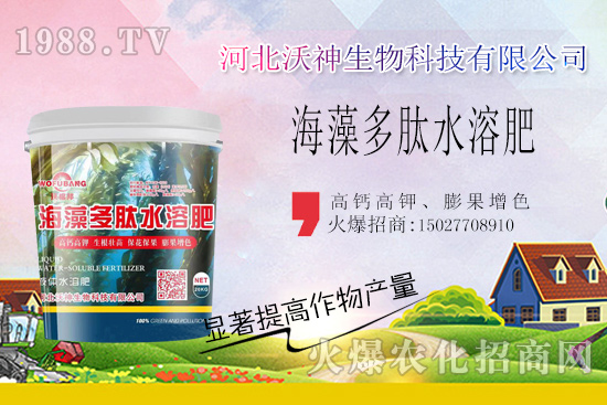  作物長勢好不好，根系管理很重要！“海藻多肽水溶肥”開啟作物生根時代！